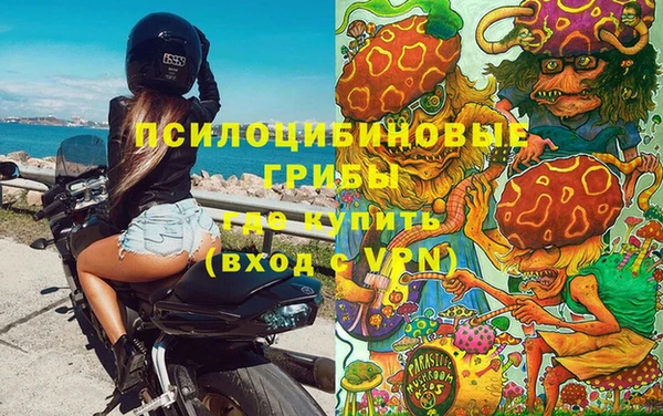 прущая мука Абаза