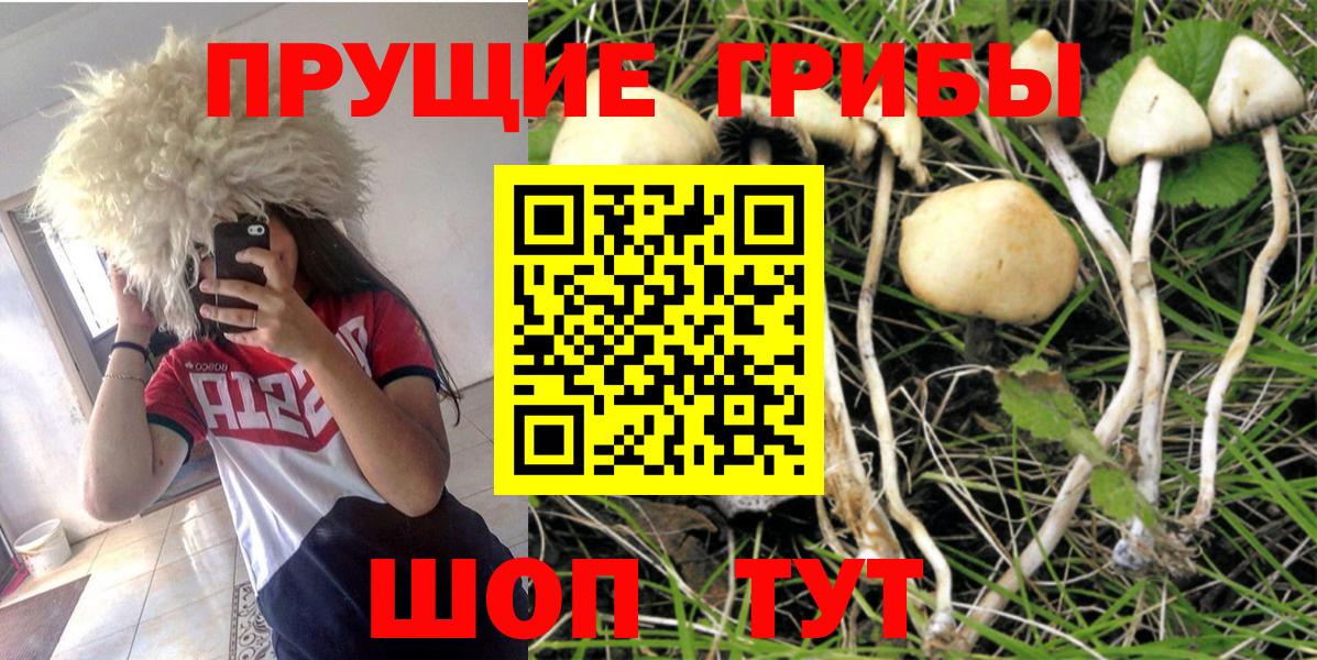 Псилоцибиновые грибы MAGIC MUSHROOMS Нальчик