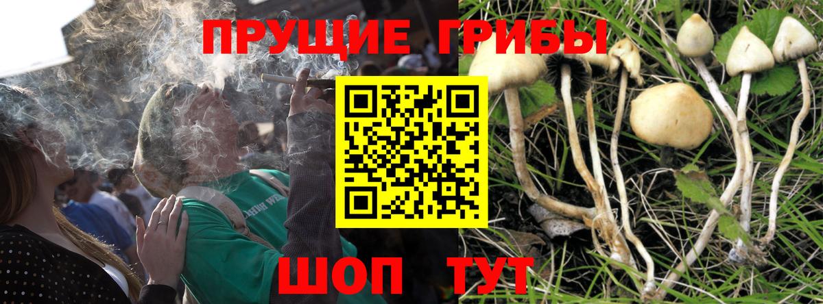 Нальчик  Галлюциногенные грибы мицелий  Вход с VPN 