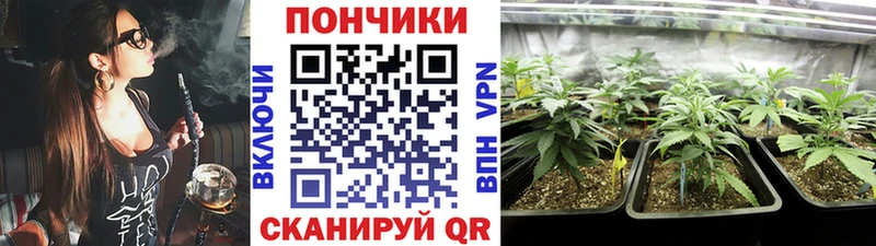 закладки  Нальчик  Шишки марихуана семена 